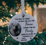 A beautiful Pet Memorial Christmas tree Decoration