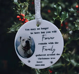 A beautiful Pet Memorial Christmas tree Decoration