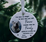 A beautiful Pet Memorial Christmas tree Decoration