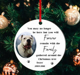 A beautiful Pet Memorial Christmas tree Decoration