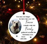 A beautiful Pet Memorial Christmas tree Decoration