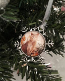 Christmas Tree Photo Memorial Decoration.